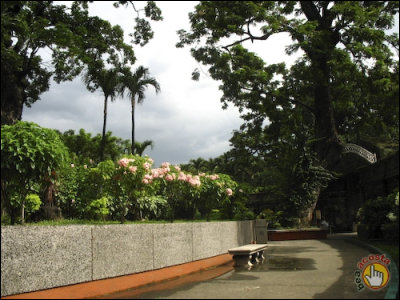 Cemetery Tours of Metro Manila