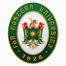 Far Eastern University (F.E.U.)